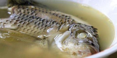 秋季养生宜多吃鱼 适合吃的五种鱼推荐