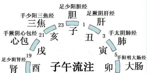 中医教你经络养生排毒法