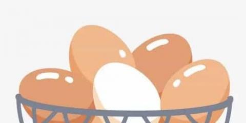 高胆固醇患者吃鸡蛋该不该弃蛋黄？